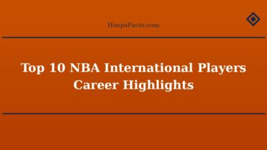 Top 10 NBA International Players Career Highlights