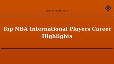 Top NBA International Players Career Highlights